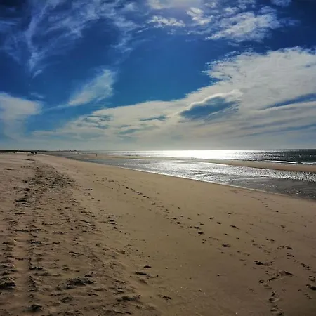 Yellow House * 塔维拉