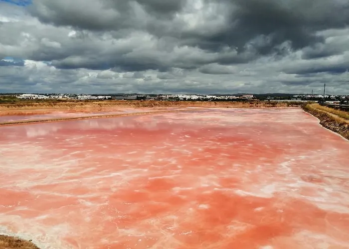 بيت للعطل Yellow House