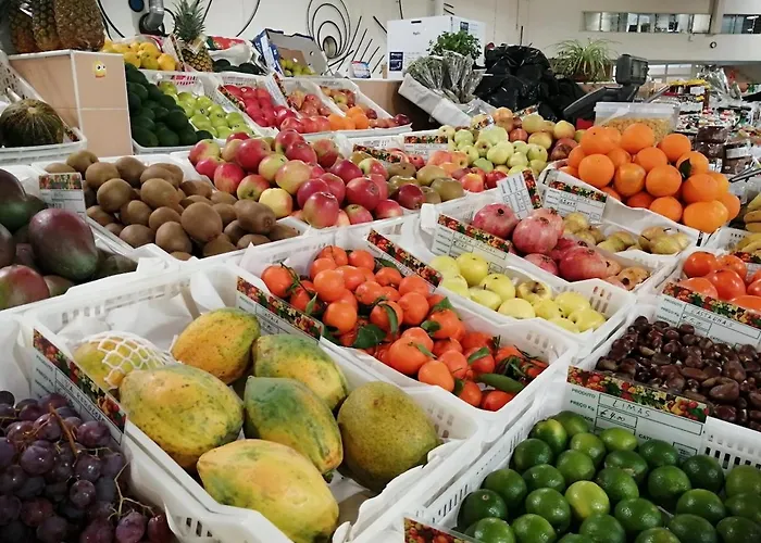 Yellow House بيت للعطل *