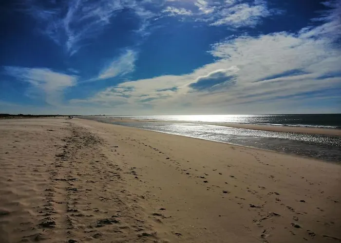 Yellow House * 타비라